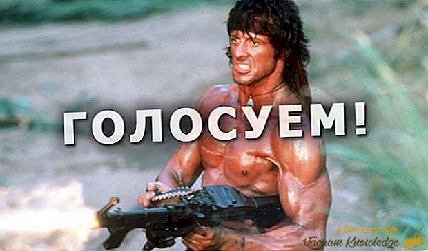 Top 10 Sylvester Stallone Cast