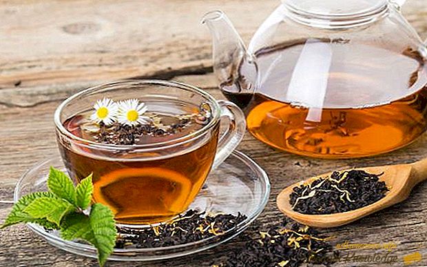 10 zanimljivih činjenica o čaju