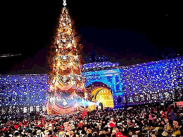 5 načinov lenobnosti, vendar z dobrim počitkom novoletnih praznikov v Sankt Peterburgu