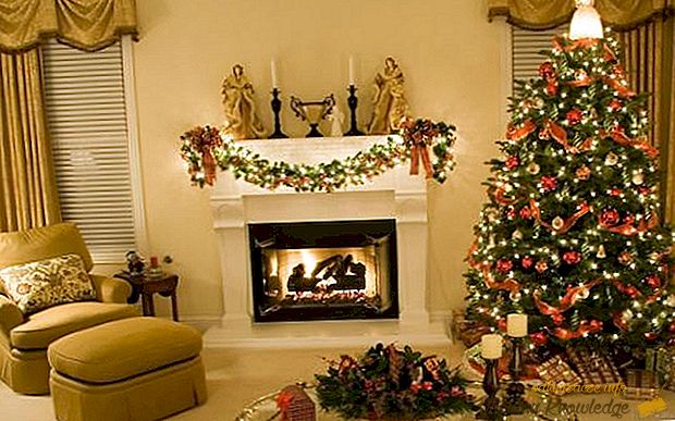 Co víme o vánočním stromku?