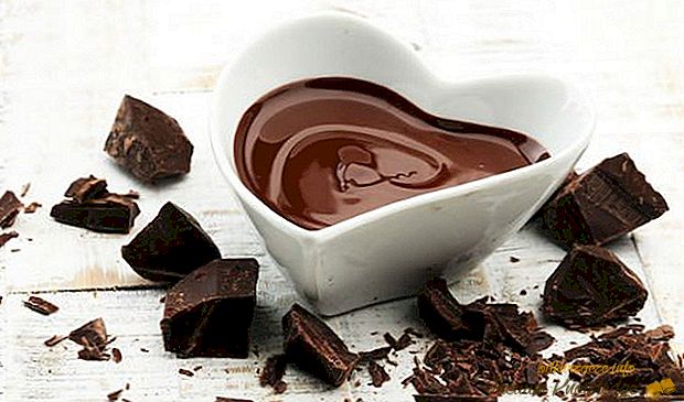 Co se děje v těle, když jíte čokoládu?