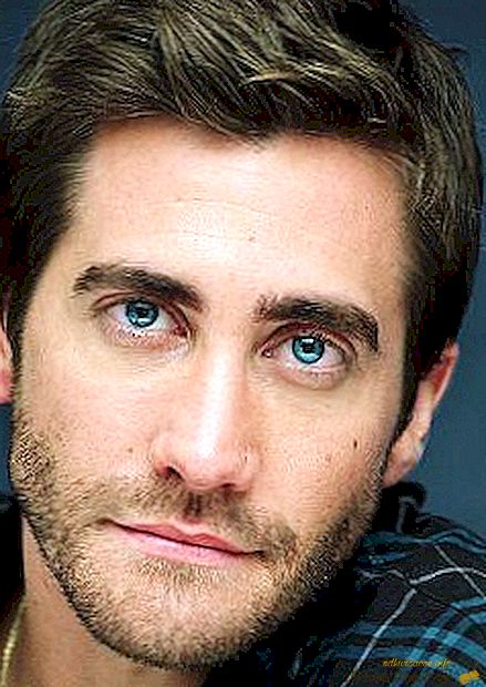 Jake Gyllenhaal, biografía, noticias, foto!