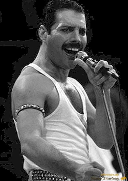 Freddie Mercury, biografia, aktualności, zdjęcie!