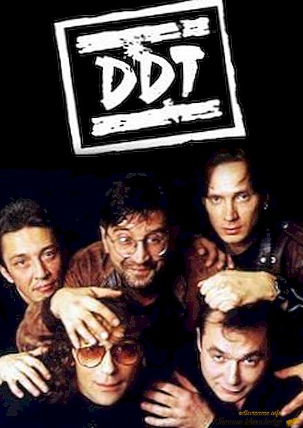 Gruppo DDT: composizione, foto, video musicali, ascolto di canzoni
