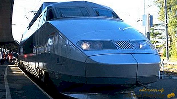 Найшвидші потяги в світі