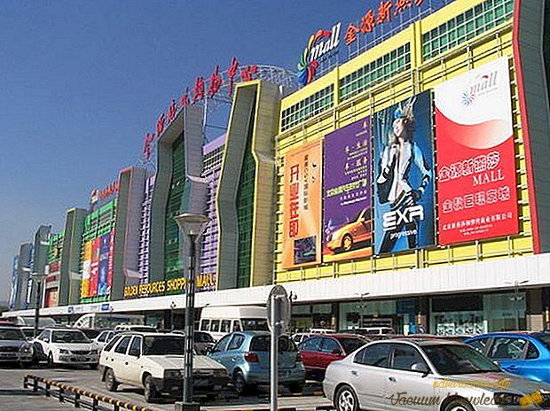 Cele mai mari magazine și mall-uri din lume
