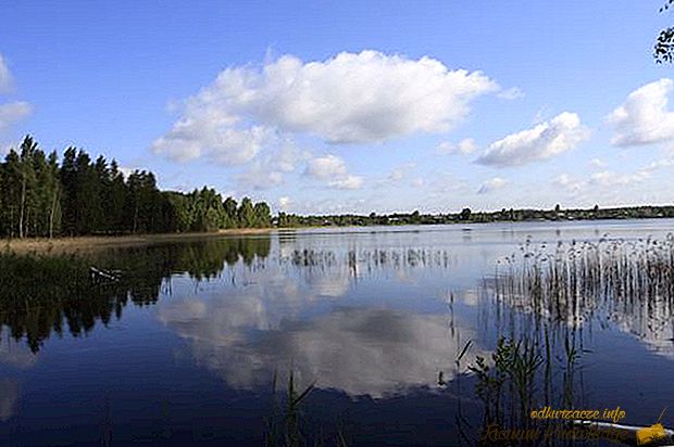 Najväčšie jazerá v Rusku