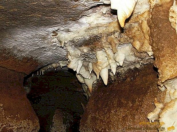 Le più grandi caverne del mondo
