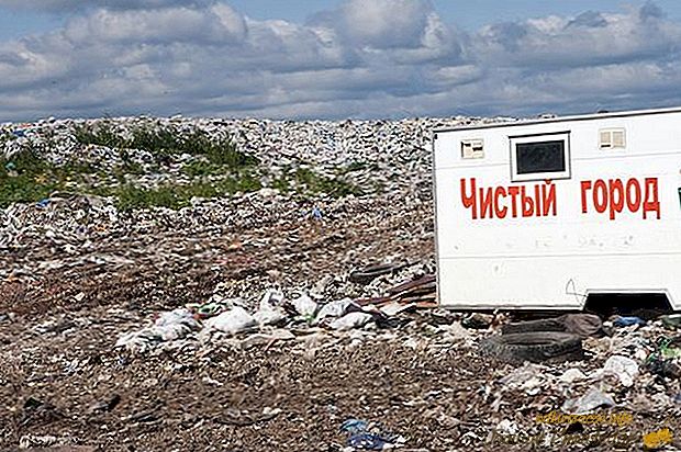 Cele mai mari depozite de deșeuri
