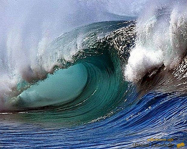 Найбільші хвилі в світі