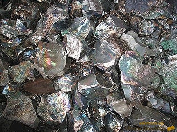 Најчестите метали во светот