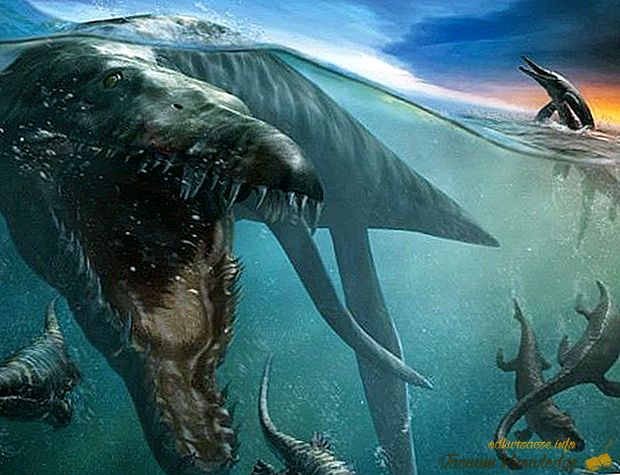 Los monstruos más terribles de las profundidades marinas: Megalodon y Melville Leviathan