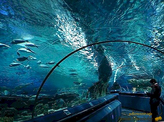 Najväčšie akvárium v ​​Rusku