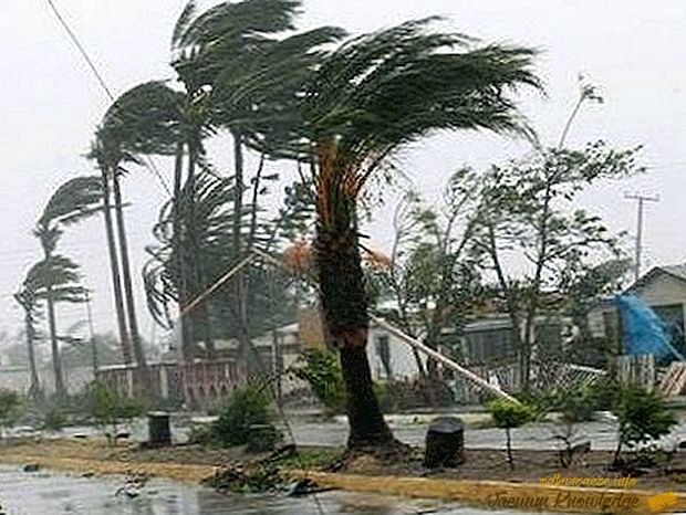 Най-големият ураган в света